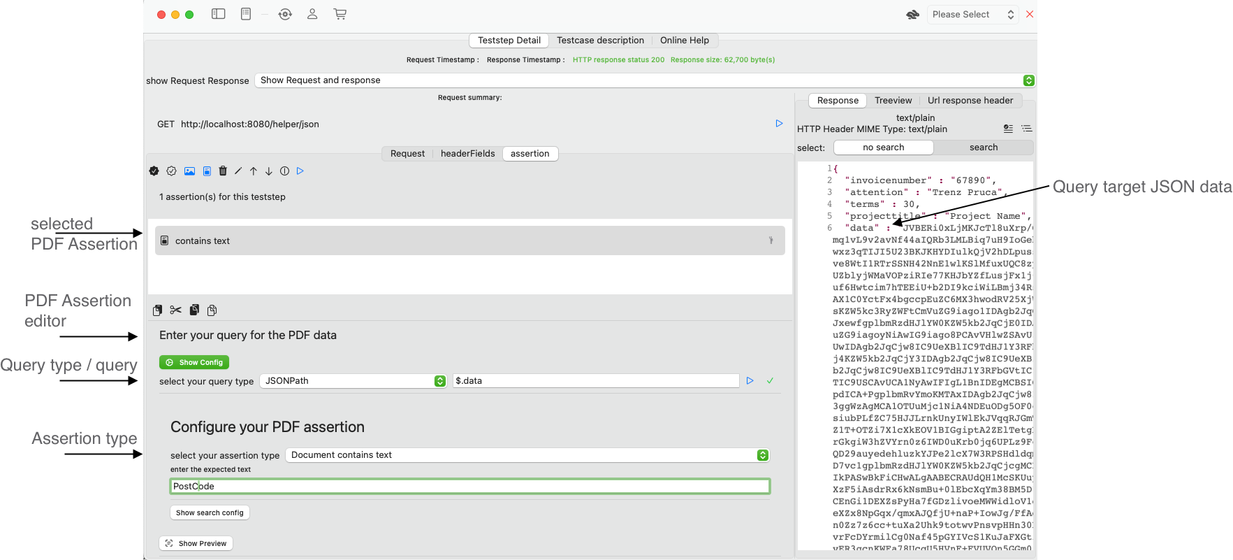 Image assertion editor