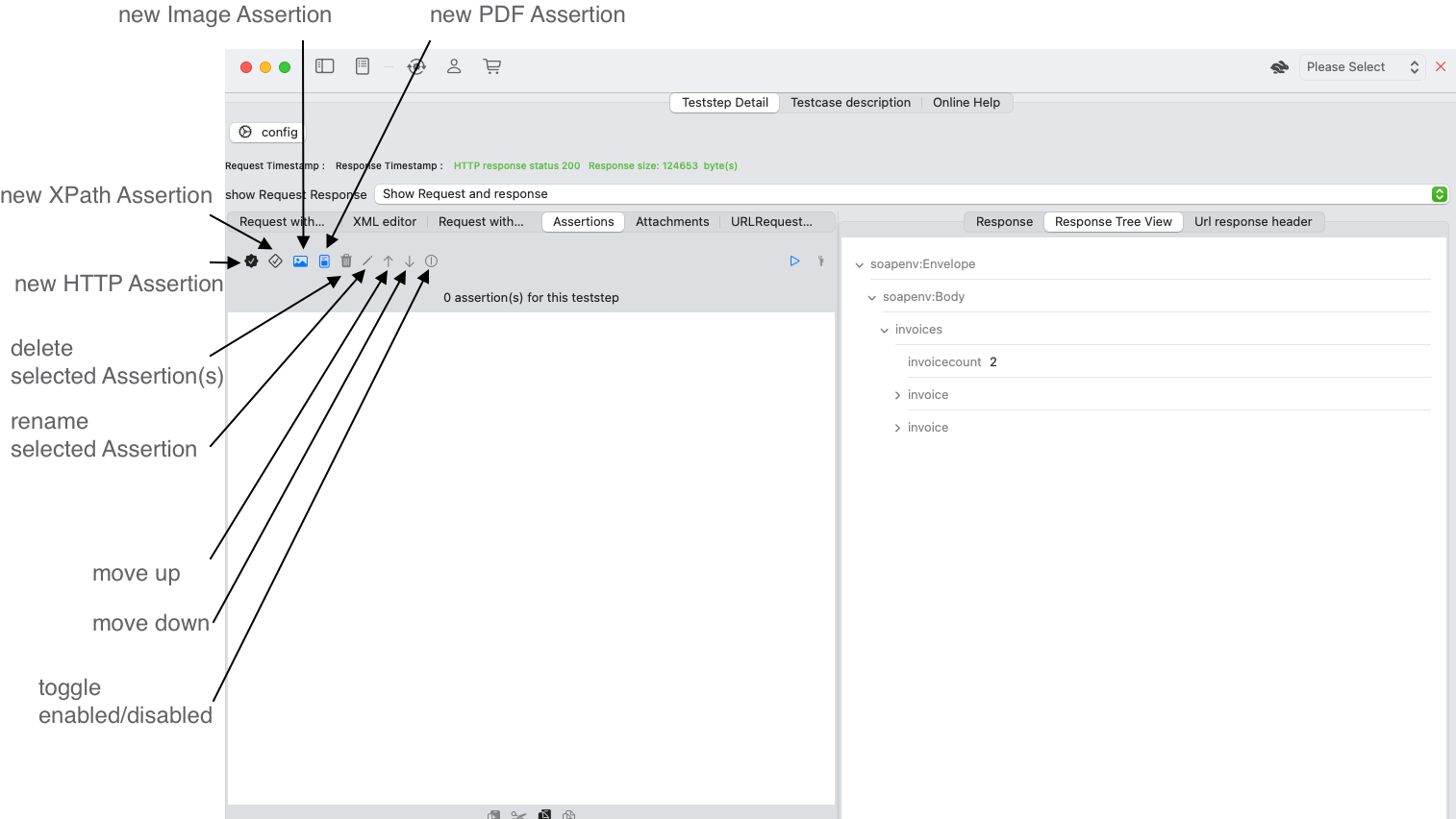 Screenshot SOAP Assertionlist with Button description