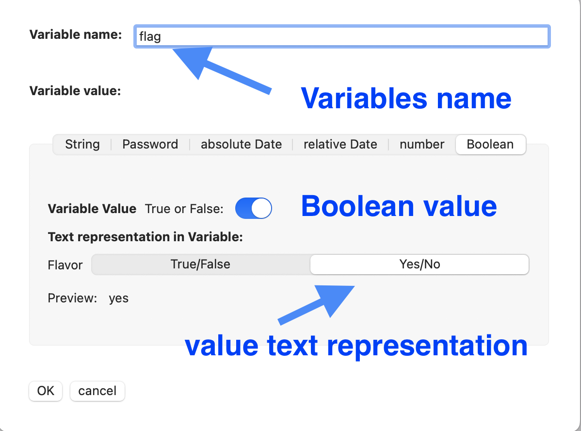 Variables editor Boolean value